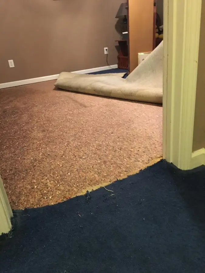 Carpet pad removal revealing water damage during Drying & Dehumidification in Lyndon