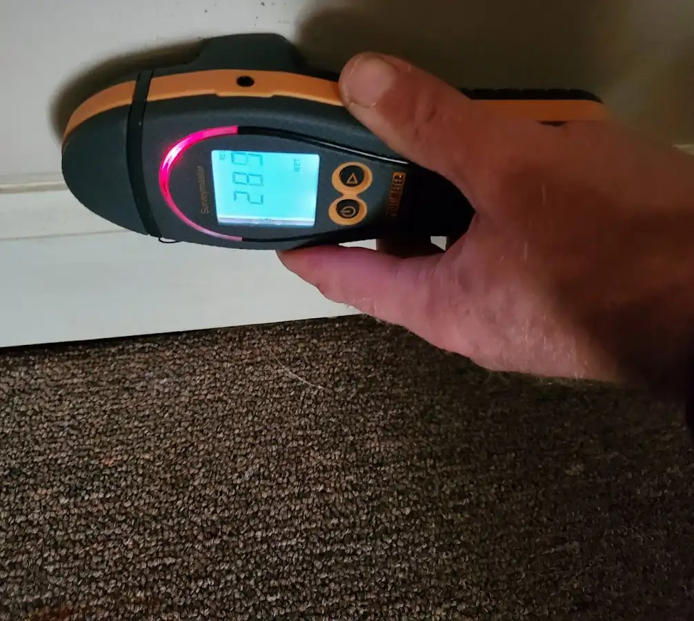 Moisture detection at baseboard during Sewage Cleanup & Sanitation in Lyndon